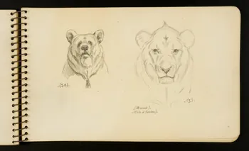 Gustave Soury carnet de dessins Ours et lion Ile-de-France, France 1954-1955 1967.116.951.26 Photo