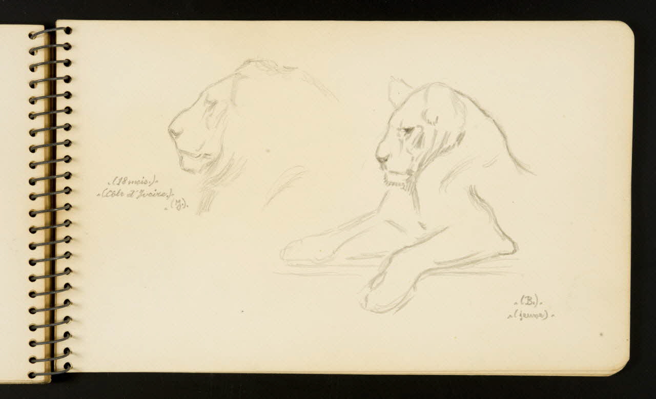 Gustave Soury carnet de dessins Lion Ile-de-France, France 1954-1955 1967.116.951.27 Photo