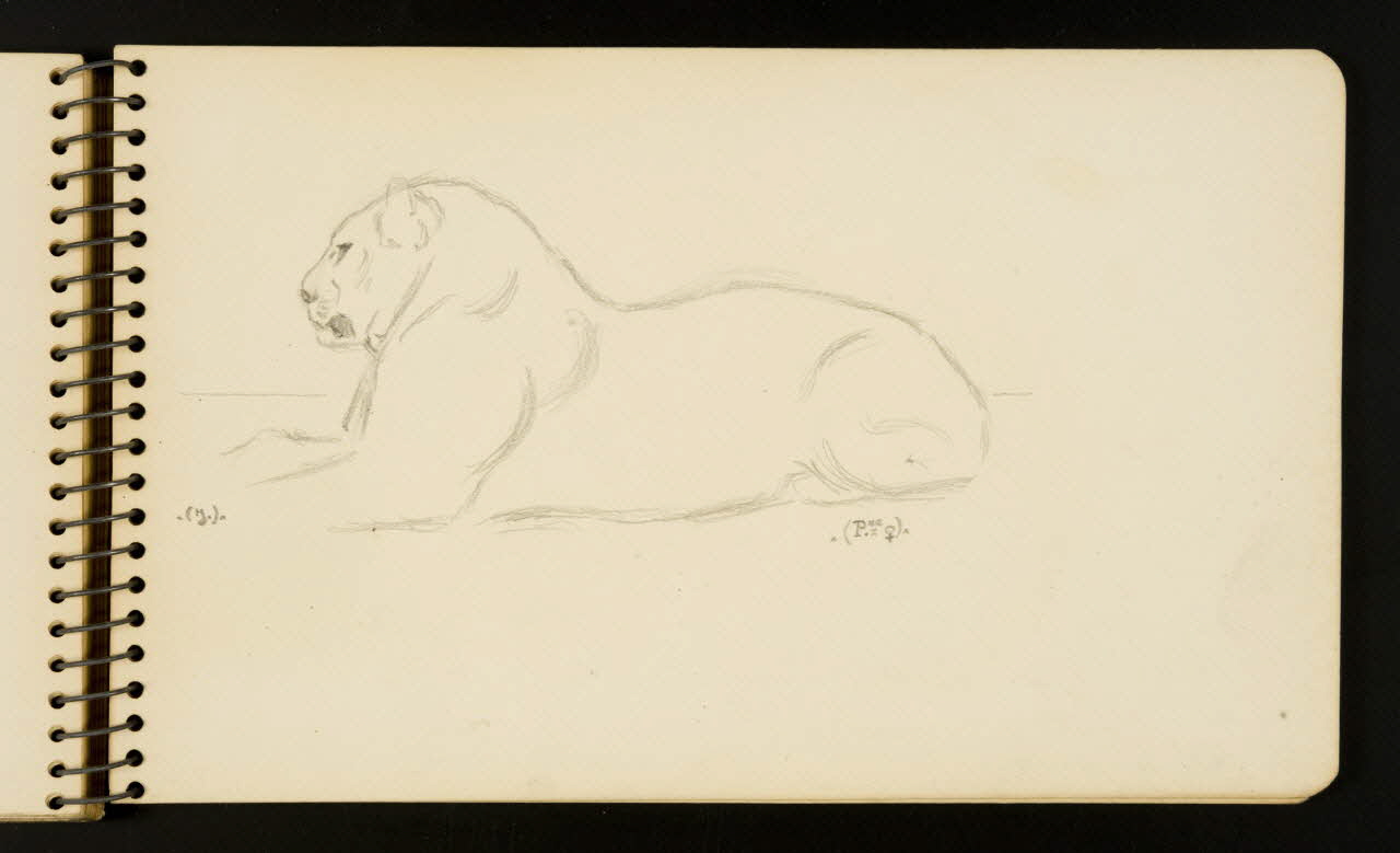 Gustave Soury carnet de dessins Lion Ile-de-France, France 1954-1955 1967.116.951.28 Photo