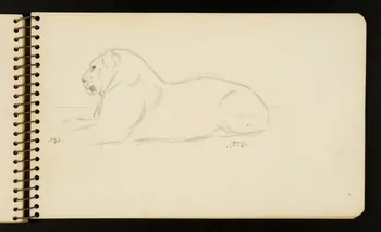 Gustave Soury carnet de dessins Lion Ile-de-France, France 1954-1955 1967.116.951.28 Photo