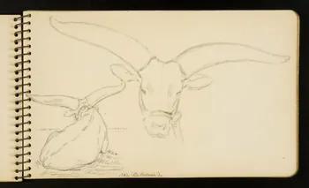 Gustave Soury carnet de dessins B. Watusi. Ile-de-France, France 1954-1955 1967.116.951.5 Photo