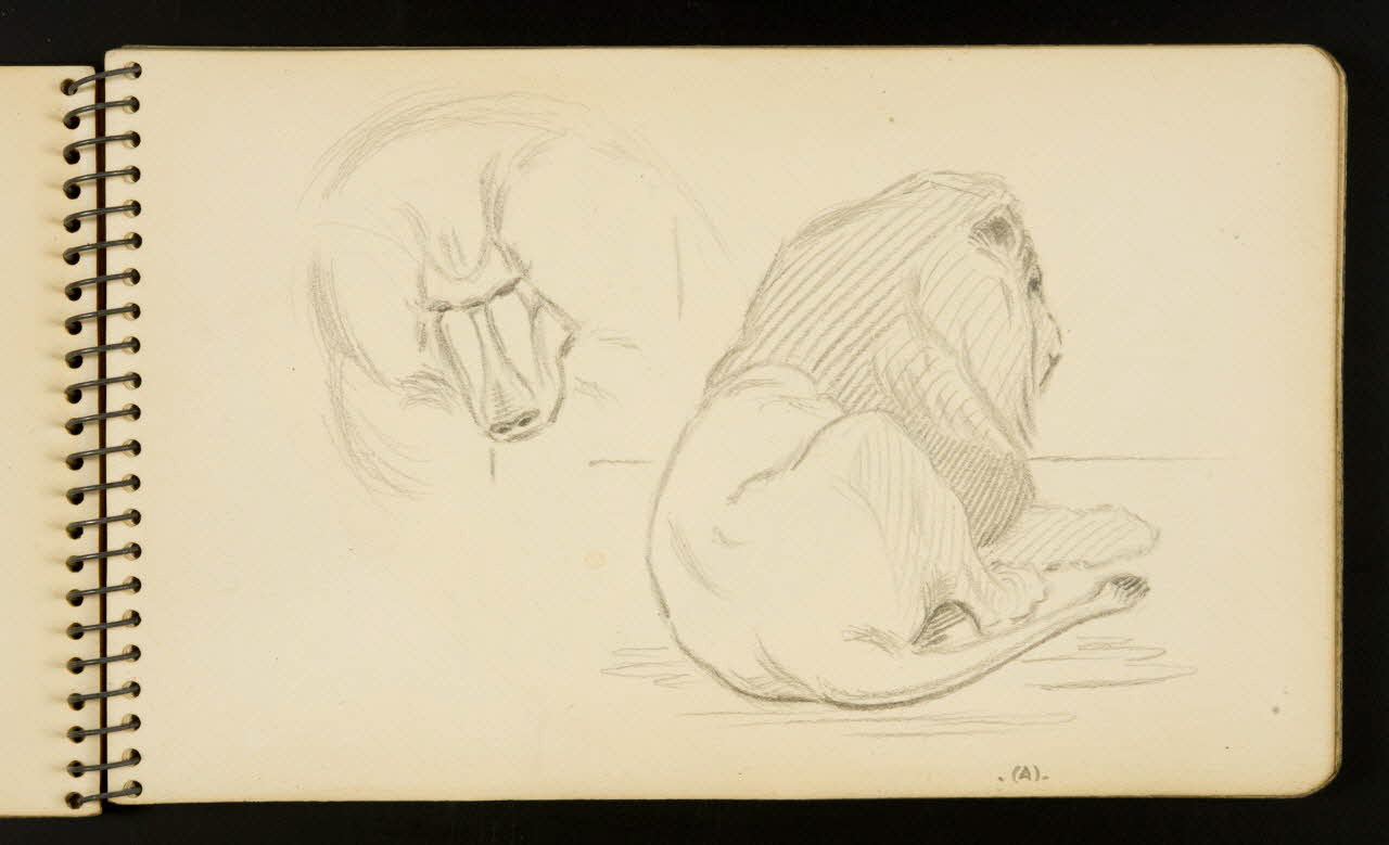 Gustave Soury carnet de dessins Lion et babouin Ile-de-France, France 1954-1955 1967.116.951.6 Photo