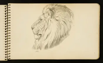 Gustave Soury carnet de dessins Lion Ile-de-France, France 1954-1955 1967.116.951.7 Photo
