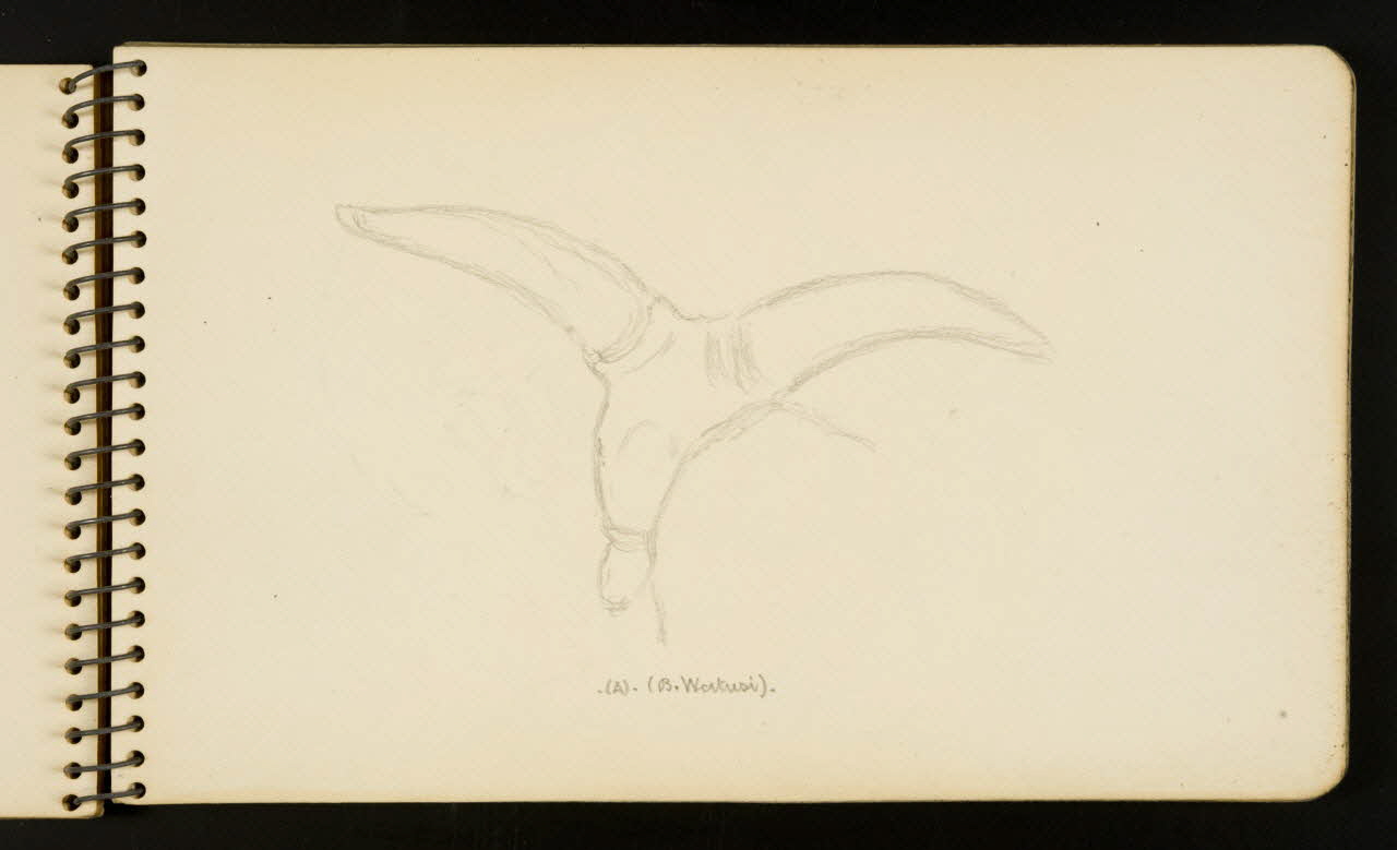 Gustave Soury carnet de dessins B. Watusi. Ile-de-France, France 1954-1955 1967.116.951.8 Photo