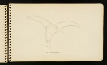 Gustave Soury carnet de dessins B. Watusi. Ile-de-France, France 1954-1955 1967.116.951.8 Photo
