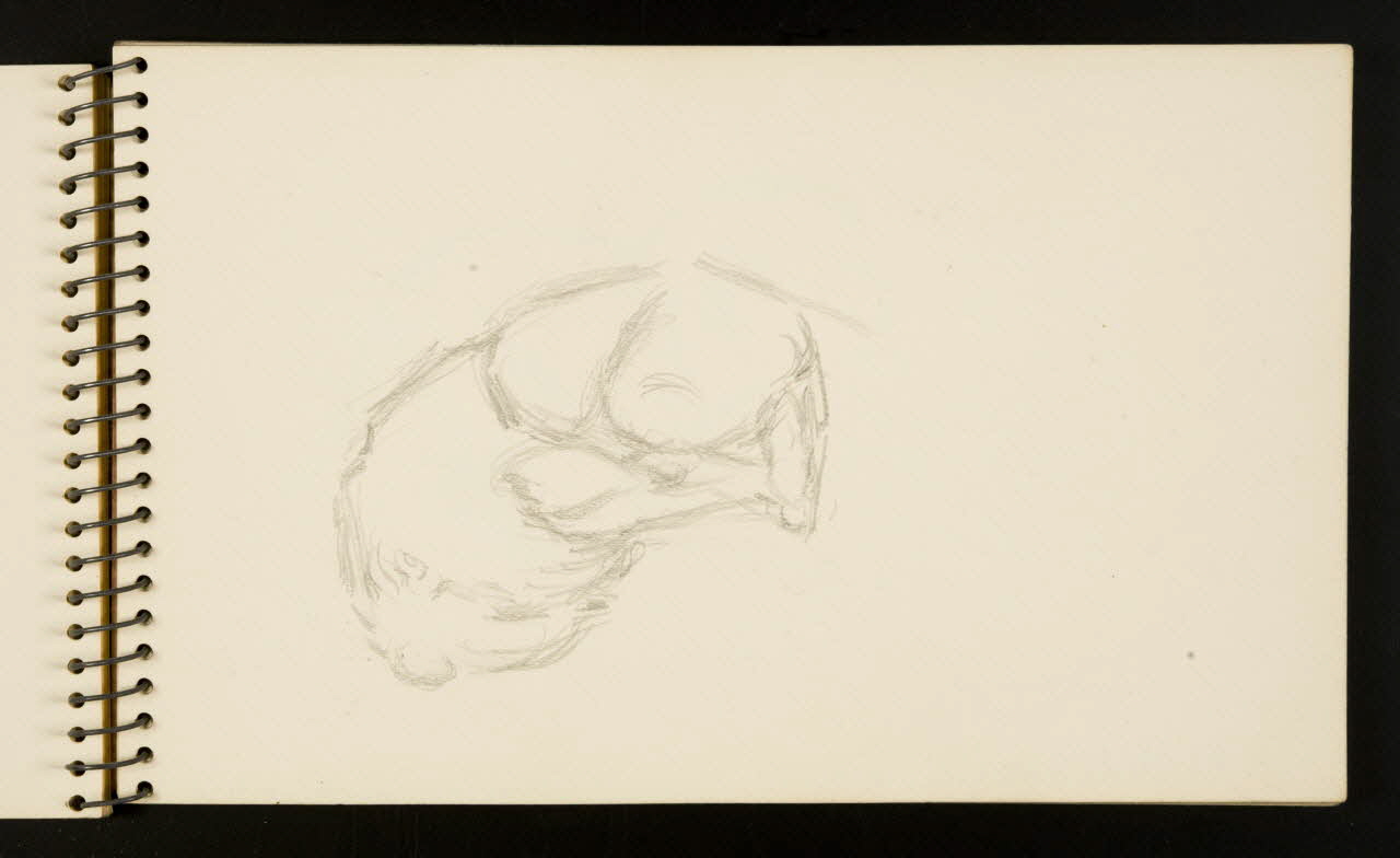 carnet de dessins Lion 1967.116.953.10  Photo