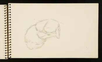 carnet de dessins Lion 1967.116.953.10 Photo