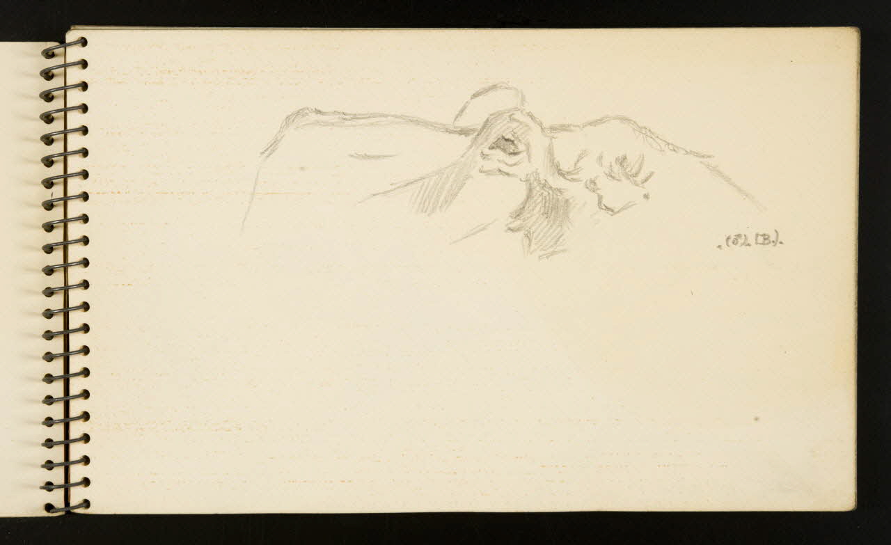 carnet de dessins Hippopotame 1967.116.953.2 Photo