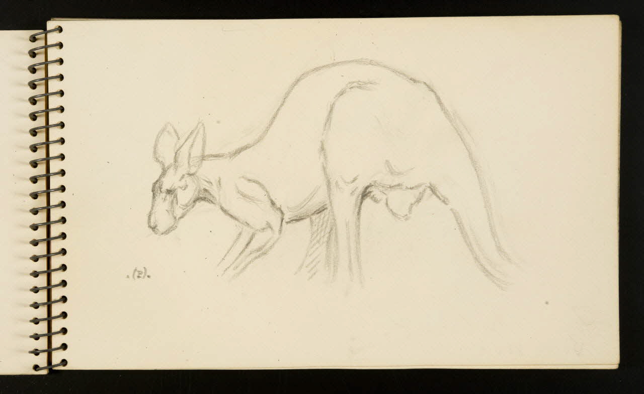 carnet de dessins Kangourou 1967.116.953.4 Photo