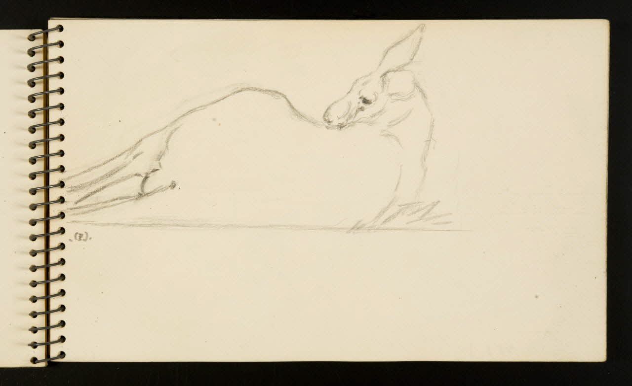carnet de dessins Kangourou 1967.116.953.5 Photo