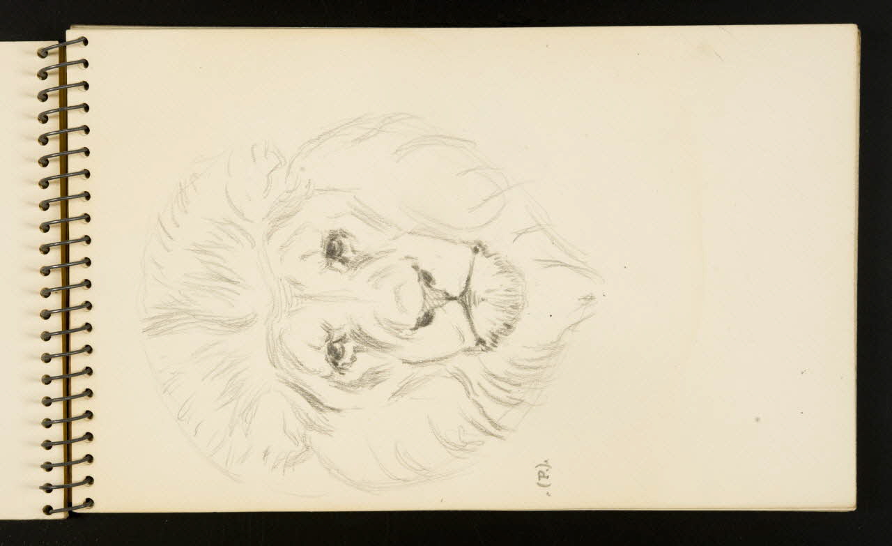 carnet de dessins Lion 1967.116.953.7 Photo