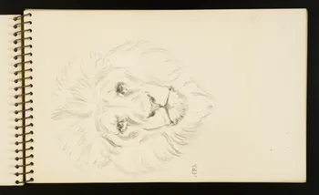 carnet de dessins Lion 1967.116.953.7  Photo