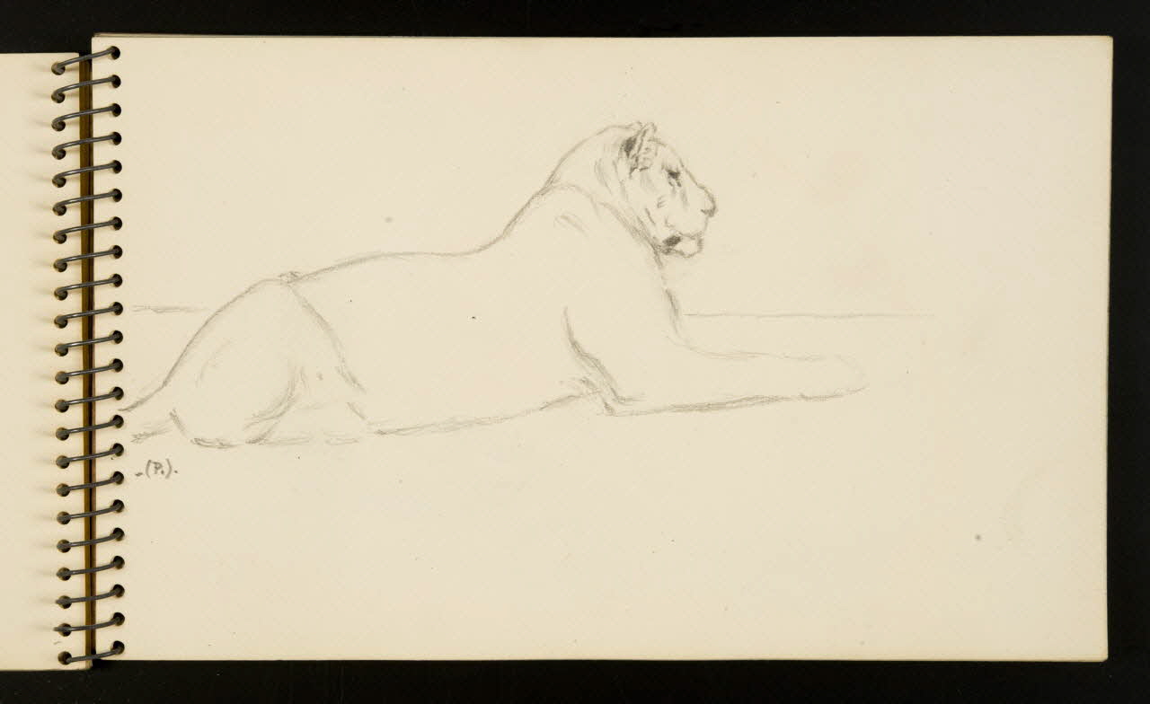 carnet de dessins Lionne 1967.116.953.8 Photo