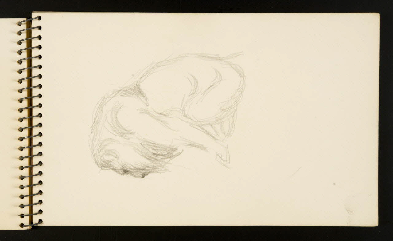 carnet de dessins Lion 1967.116.953.9  Photo