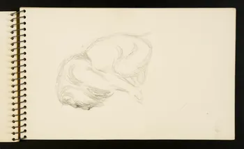 carnet de dessins Lion 1967.116.953.9 Photo