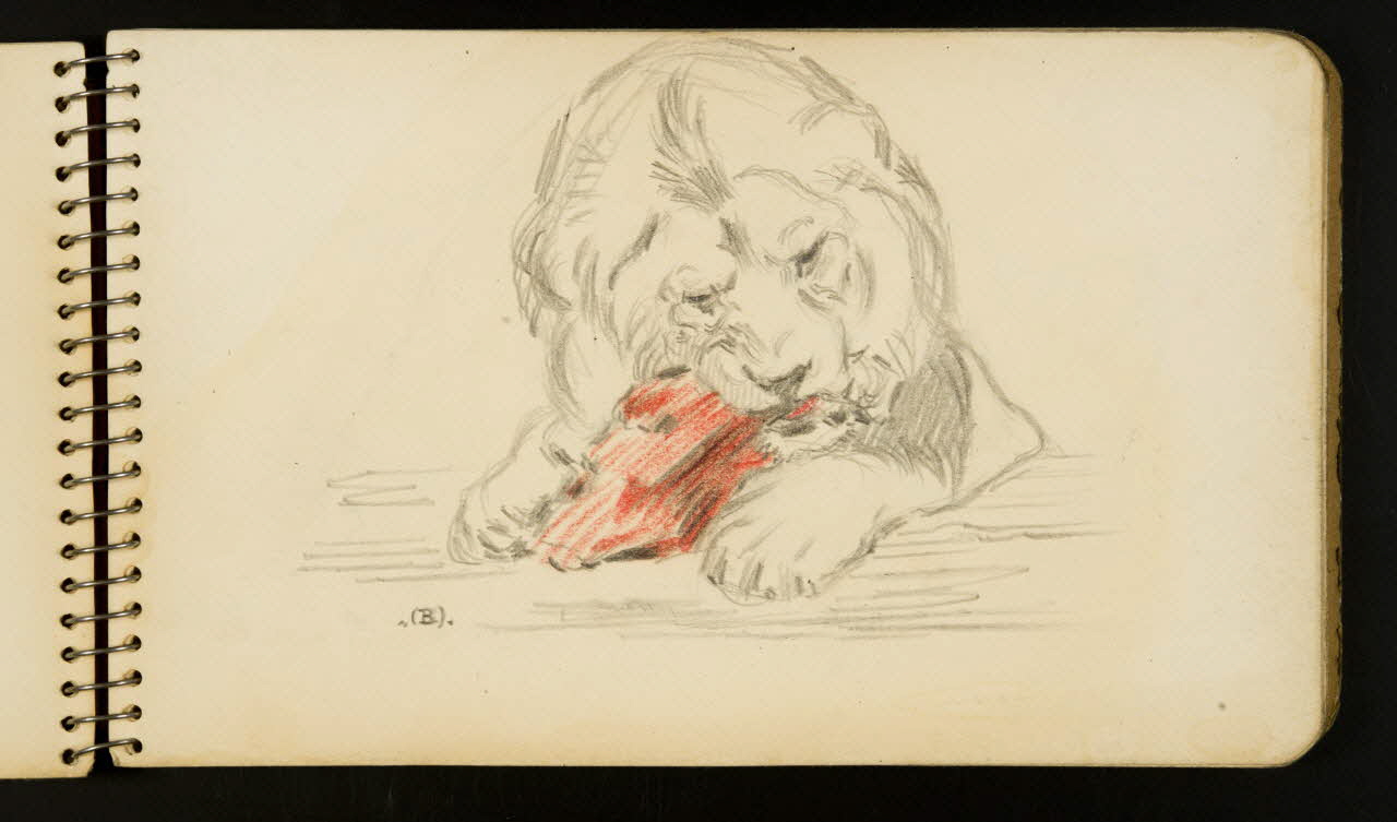 carnet de dessins Lion 1967.116.954.10 Photo