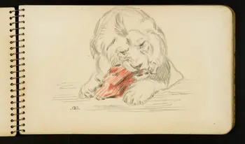 carnet de dessins Lion 1967.116.954.10  Photo
