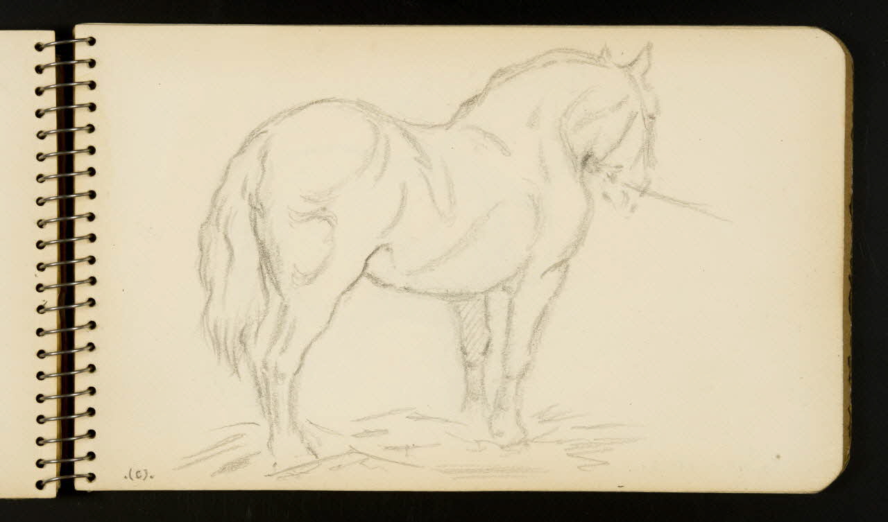 carnet de dessins Cheval 1967.116.954.21 Photo