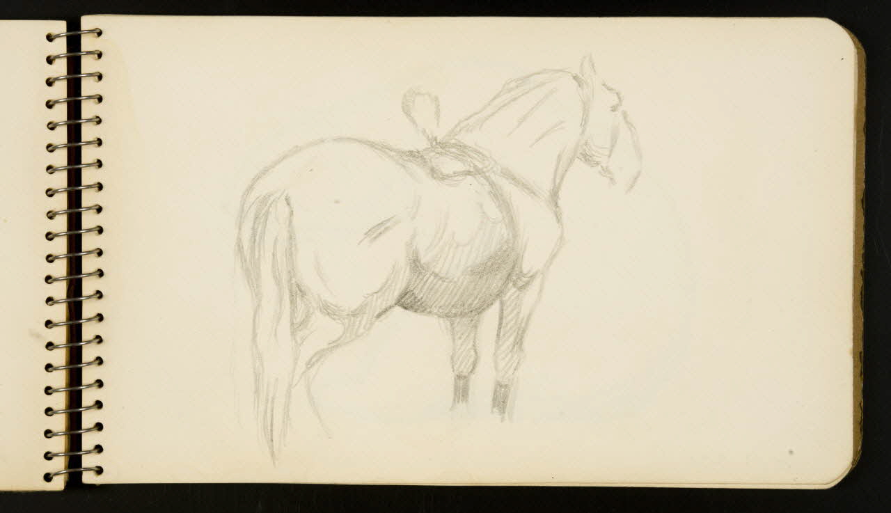 carnet de dessins Cheval 1967.116.954.22 Photo
