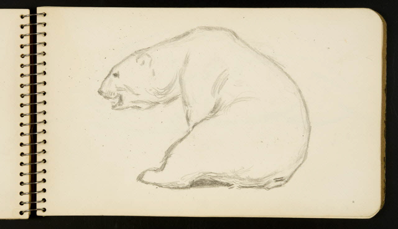 carnet de dessins Ours 1967.116.954.23 Photo