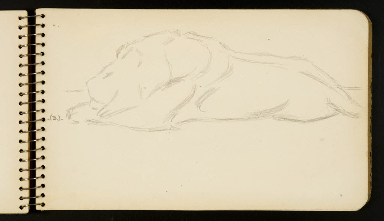 carnet de dessins Lion 1967.116.954.24 Photo