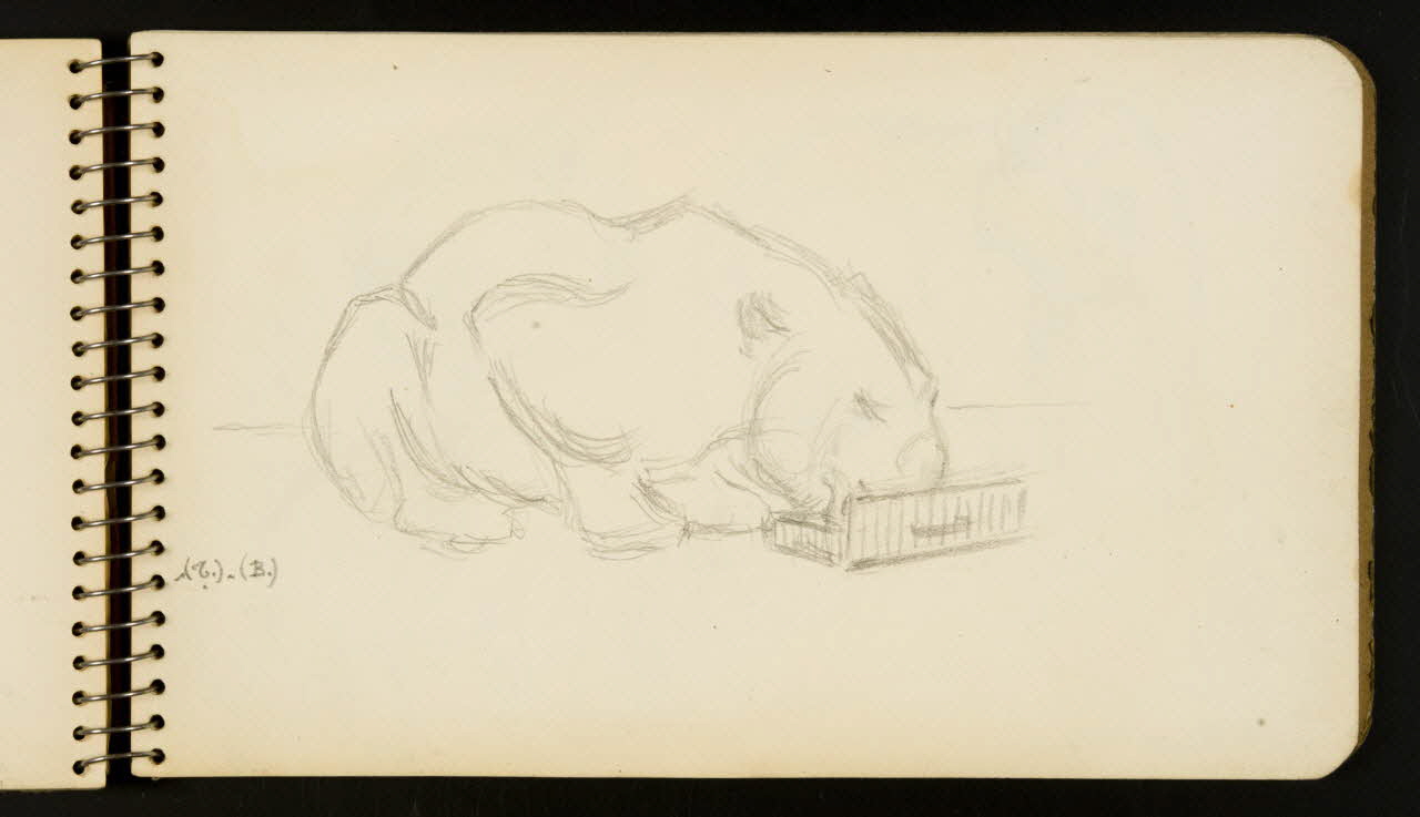 carnet de dessins Ours 1967.116.954.25 Photo