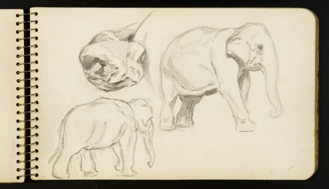 carnet de dessins Eléphant et python 1967.116.954.26 Photo