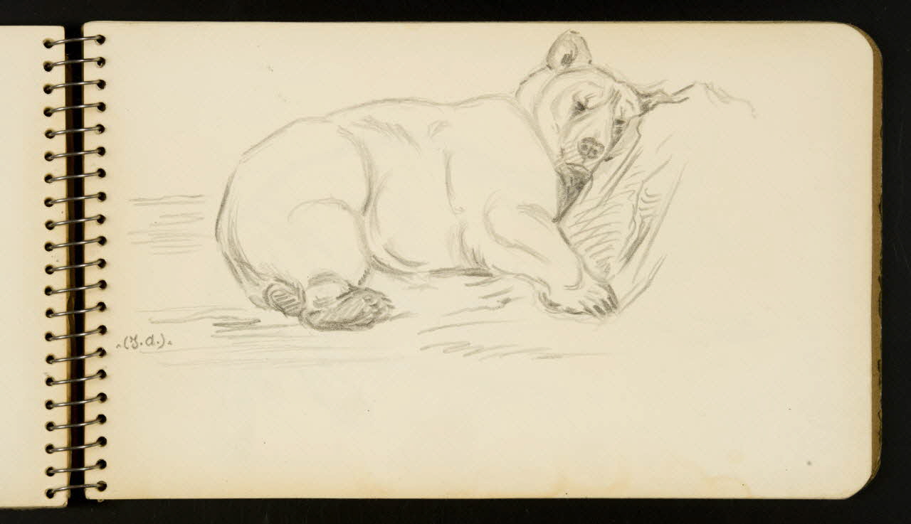 carnet de dessins Ours endormi 1967.116.954.27 Photo