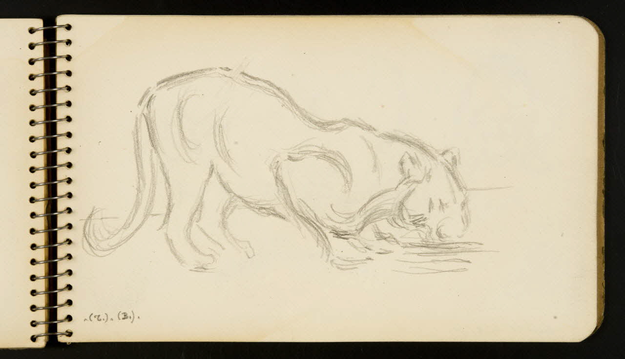 carnet de dessins Félin 1967.116.954.29 Photo