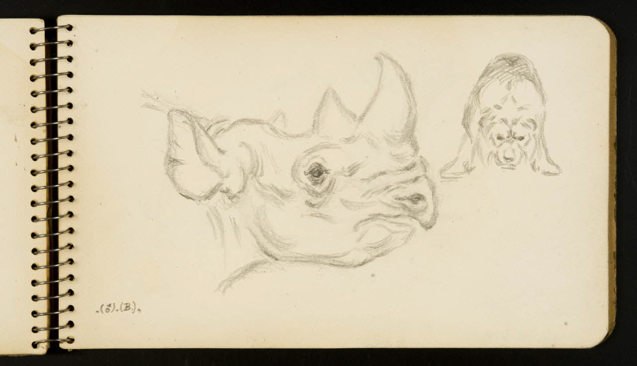 carnet de dessins Rhinocéros et lion 1967.116.954.30 Photo