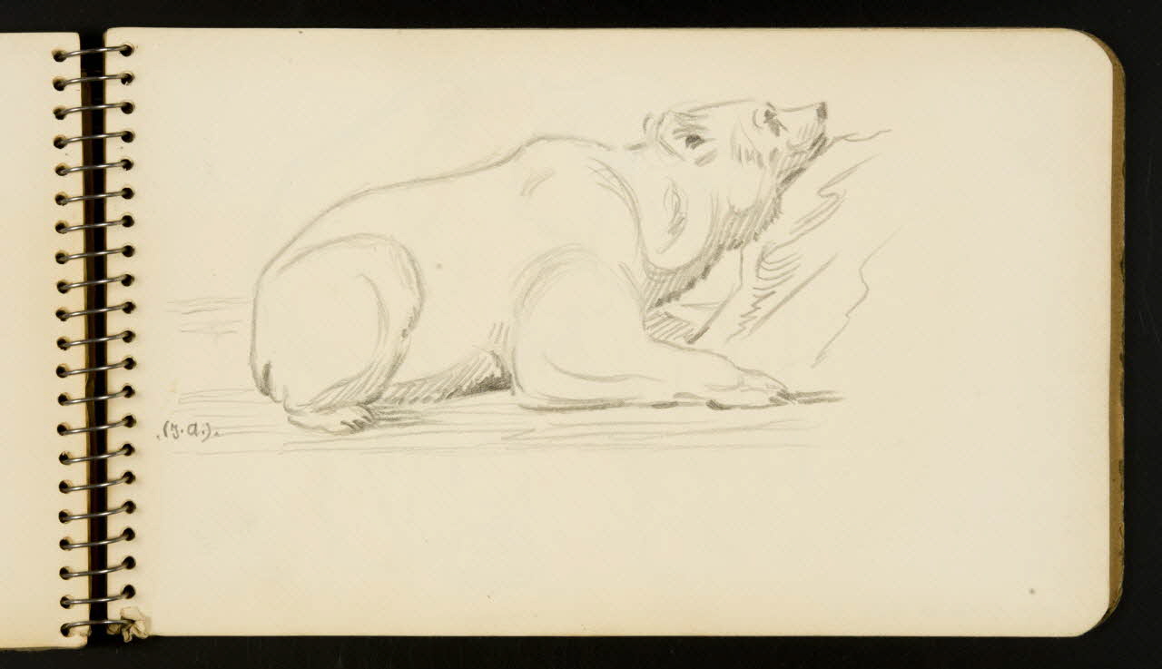 carnet de dessins Ours 1967.116.954.31 Photo