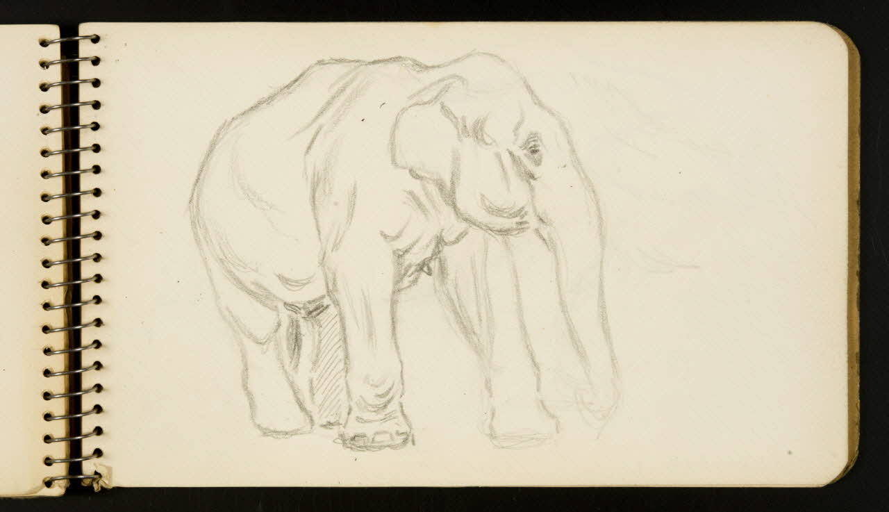 carnet de dessins Eléphant 1967.116.954.32 Photo