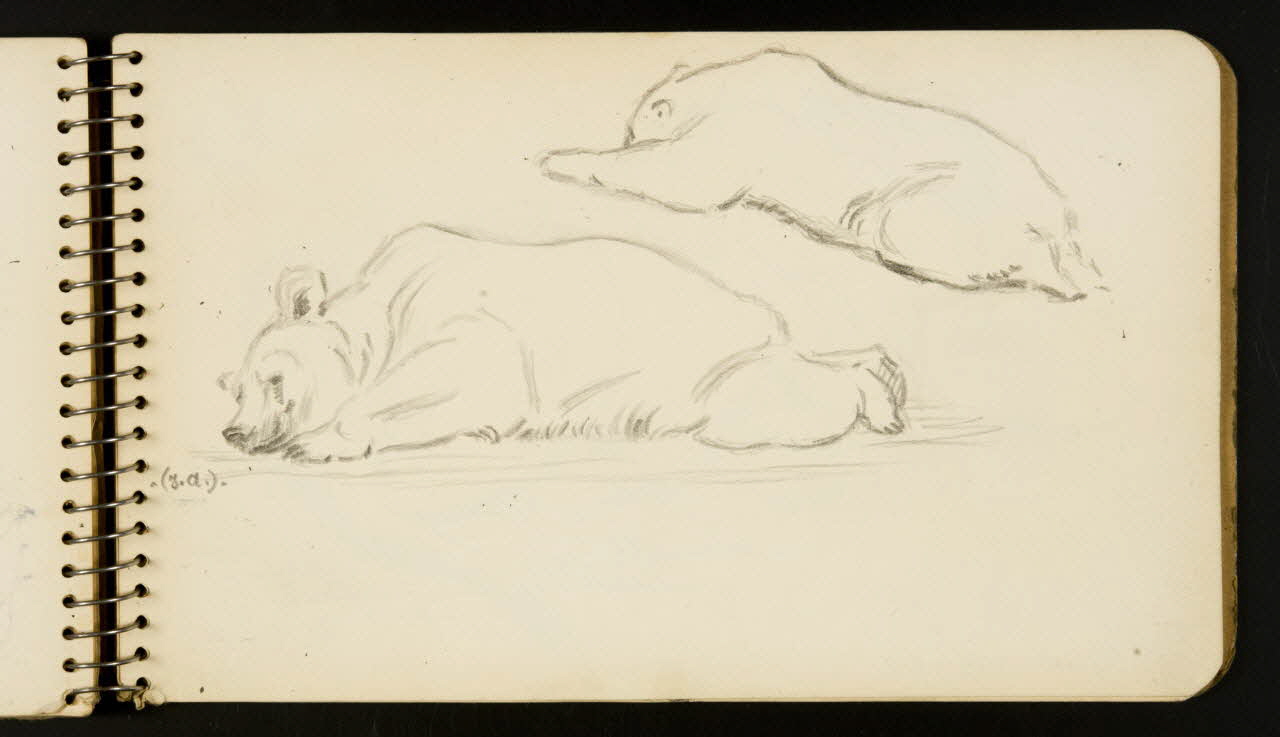 carnet de dessins Ours 1967.116.954.33 Photo