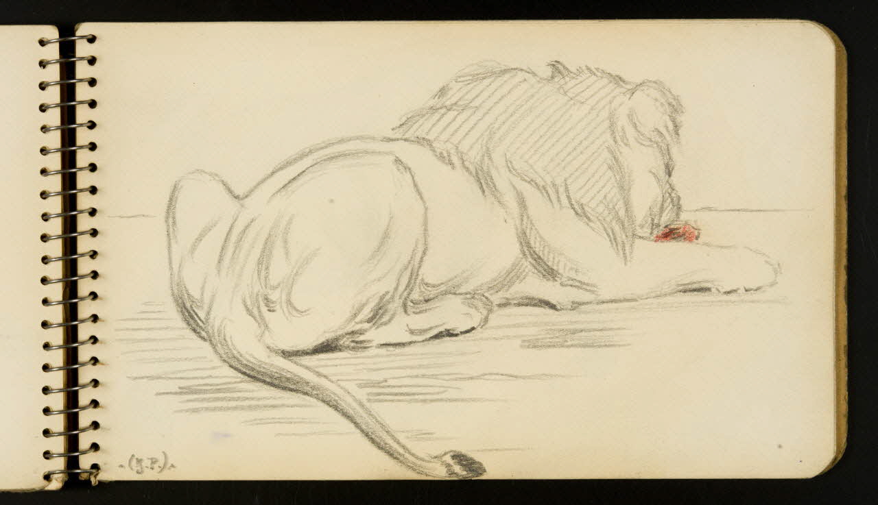 carnet de dessins Lion 1967.116.954.34 Photo