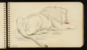 carnet de dessins Lion 1967.116.954.34 Photo