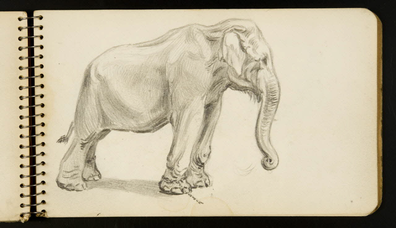 carnet de dessins Eléphant 1967.116.954.35 Photo