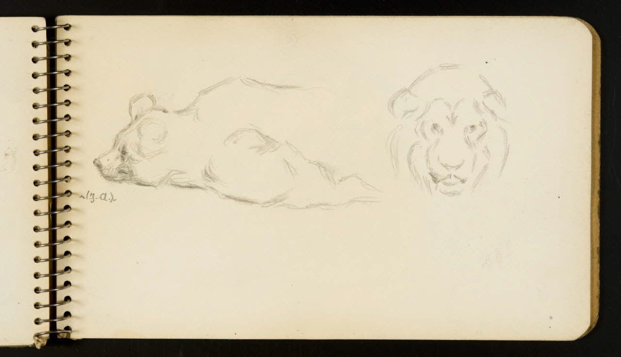 carnet de dessins Lion et ours 1967.116.954.36 Photo