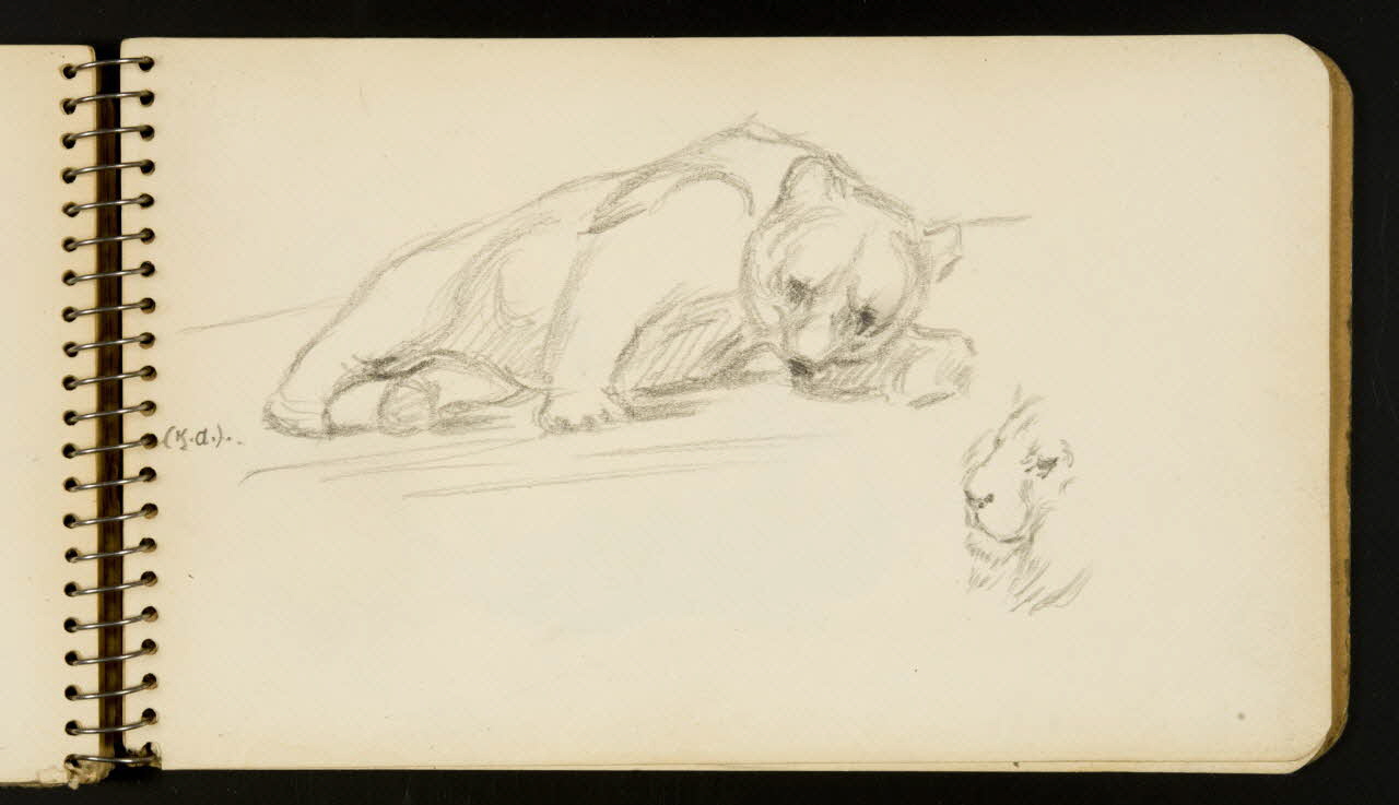 carnet de dessins Ours et lion 1967.116.954.37 Photo
