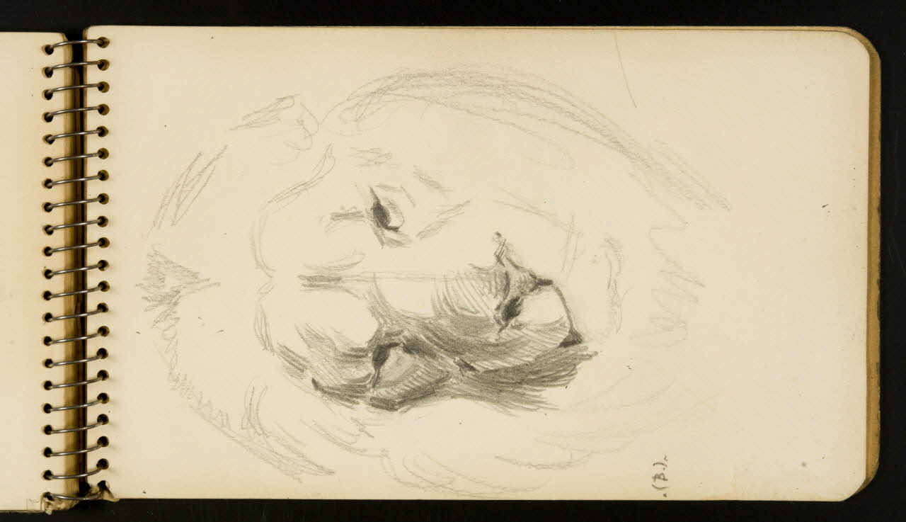 carnet de dessins Lion 1967.116.954.38 Photo