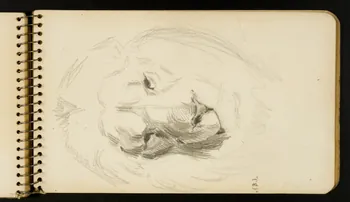 carnet de dessins Lion 1967.116.954.38 Photo