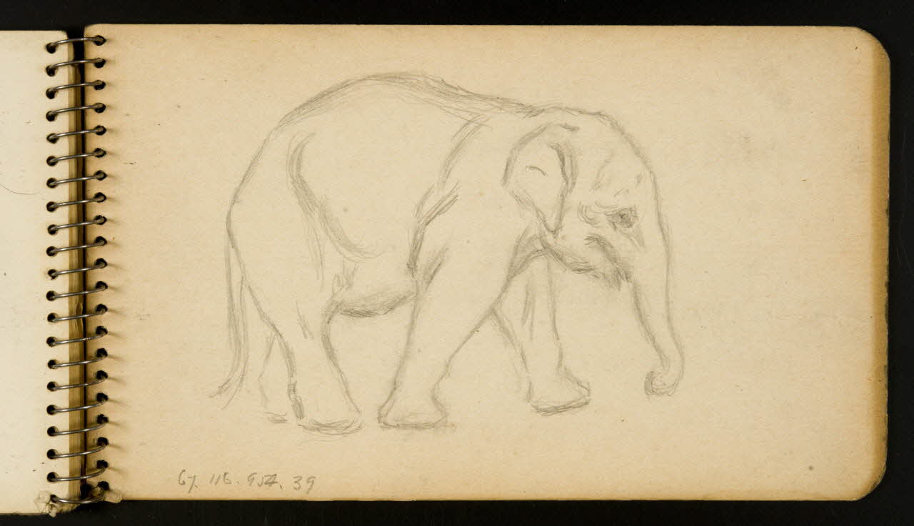 carnet de dessins Eléphant 1967.116.954.39 Photo