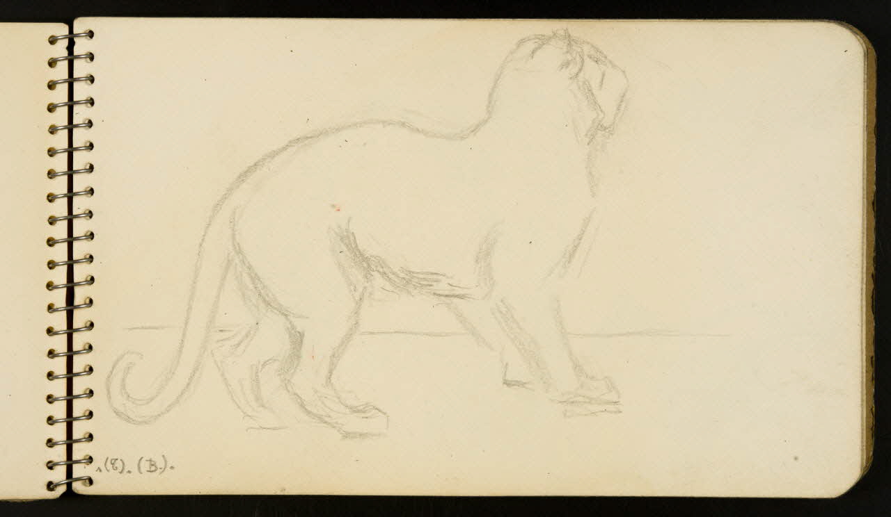carnet de dessins Félin 1967.116.954.5 Photo