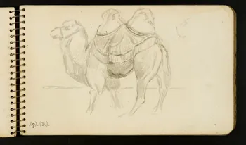 carnet de dessins Chameau 1967.116.954.8 Photo