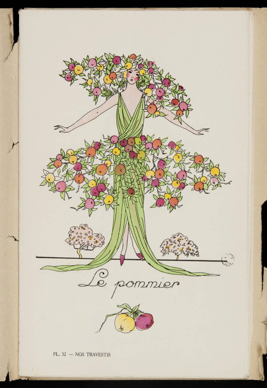 album Le pommier Ile-de-France, France 1923-1924 1967.117.35.33 Photo