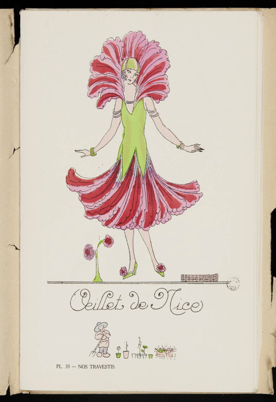 album Oeillet de Nice Ile-de-France, France 1923-1924 1967.117.35.34 Photo