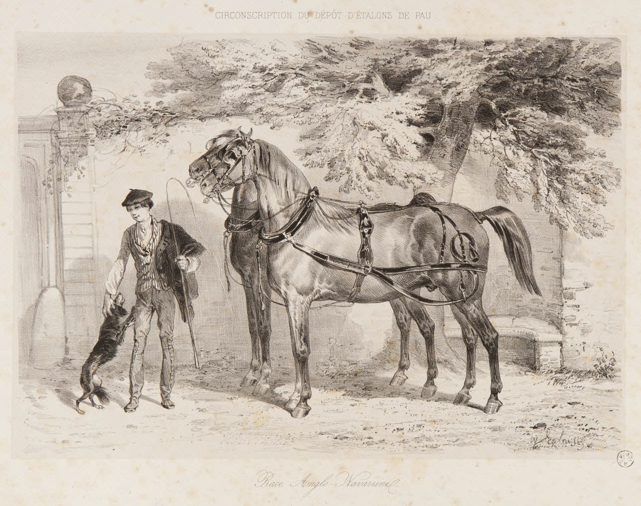 estampe Race Anglo-Navarrine 1967.131.10.1 Photo