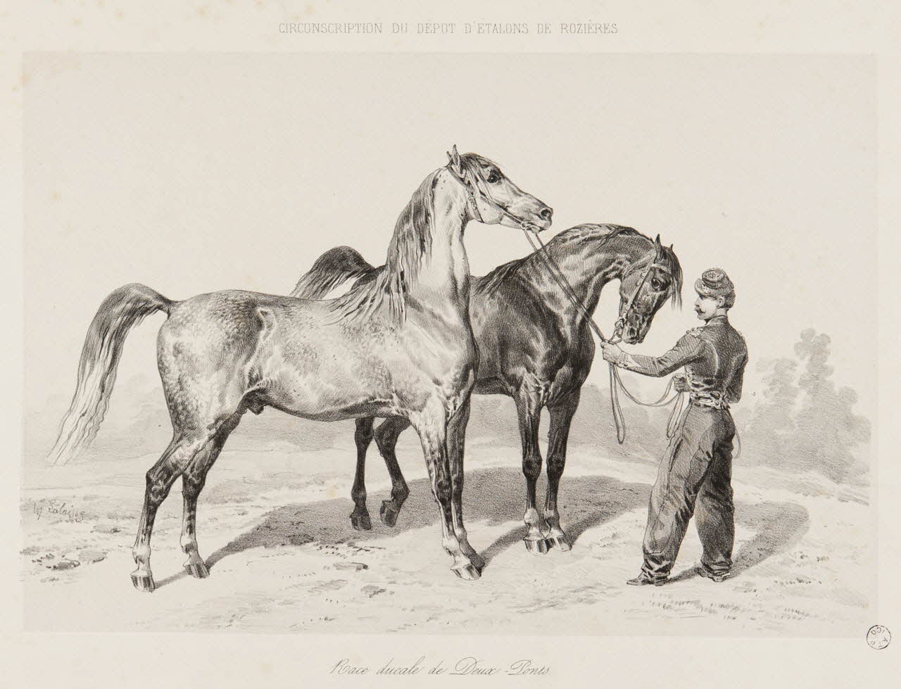 estampe Race ducale de Deux-Ponts 1967.131.11.1 Photo