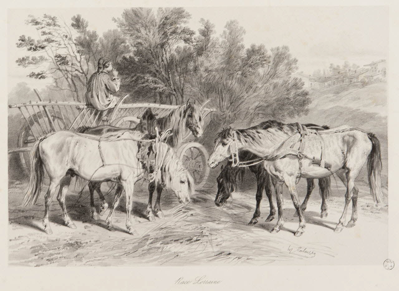 estampe Race Lorraine 1967.131.11.2 Photo