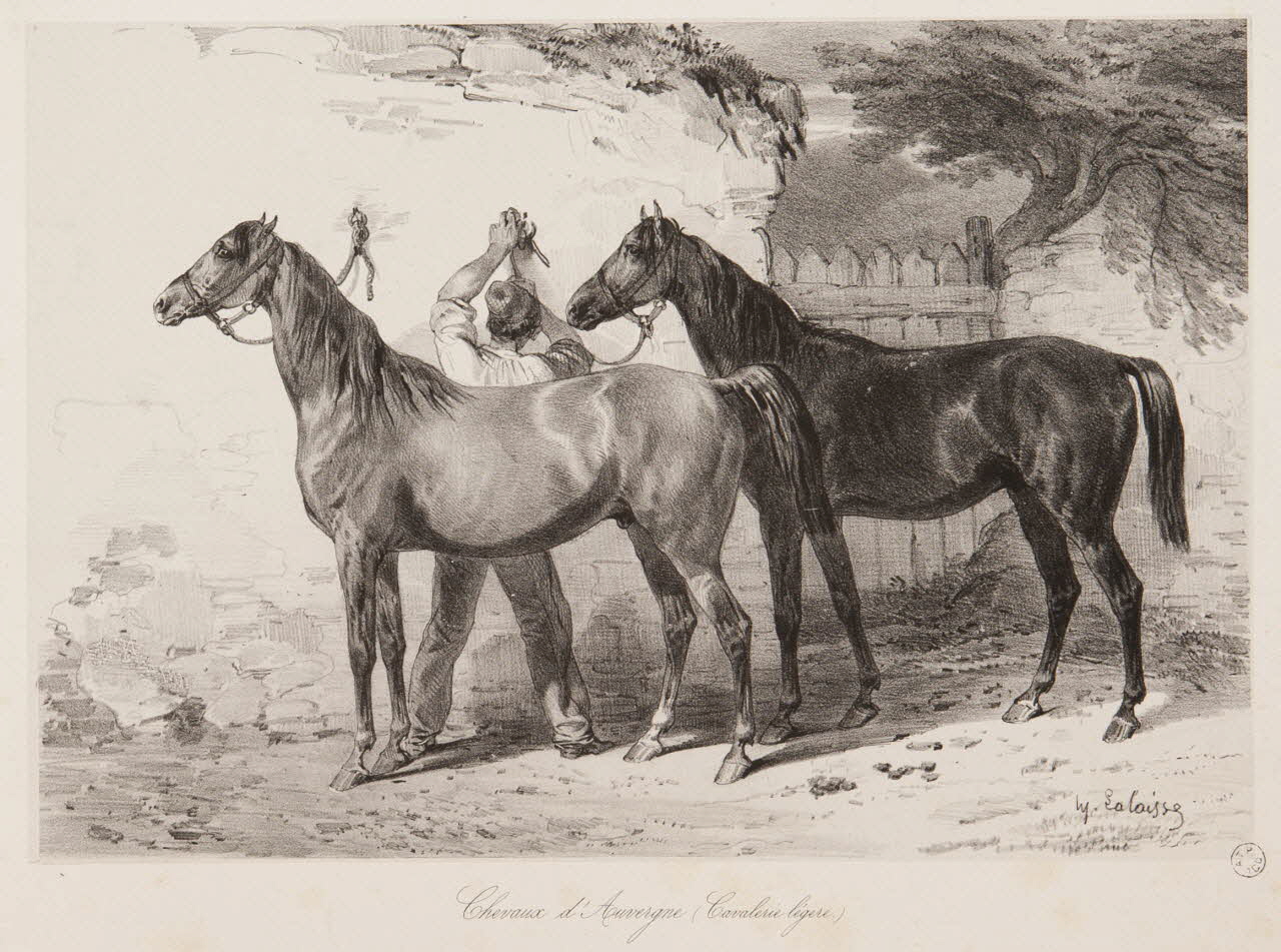 estampe Chevaux d'Auvergne (Cavalerie légère) 1967.131.5.2 Photo