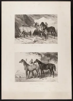 estampe Chevaux d'Auvergne (Cavalerie légère) 1967.131.5.2 Photo